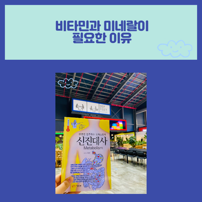  비타민과 미네랄이 필요한 이유 미라클 나잇 1_2_2