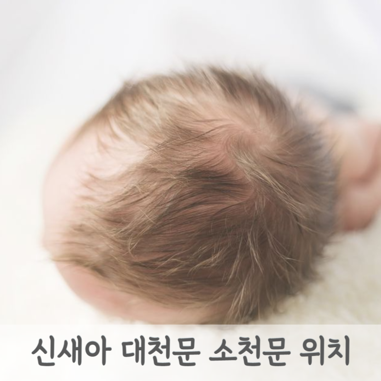  신생아 아기 대천문과 소천문 위치와 닫히는 시기