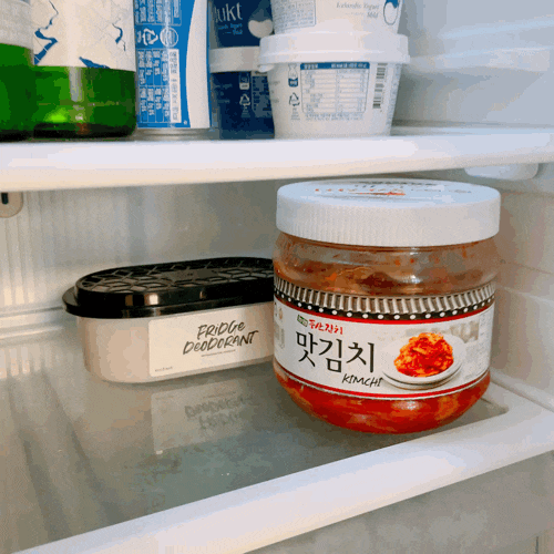  재사용이 가능한 냉장고 냄새제거제, 에코후레쉬 냉장고 탈취제 
