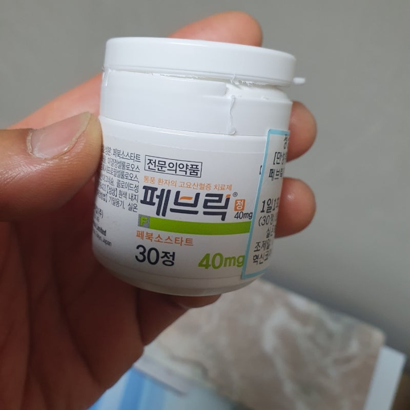 만성 통풍 환자 고 요산혈증 치료제 페브릭정 40mg 1개월 복용 중 후기