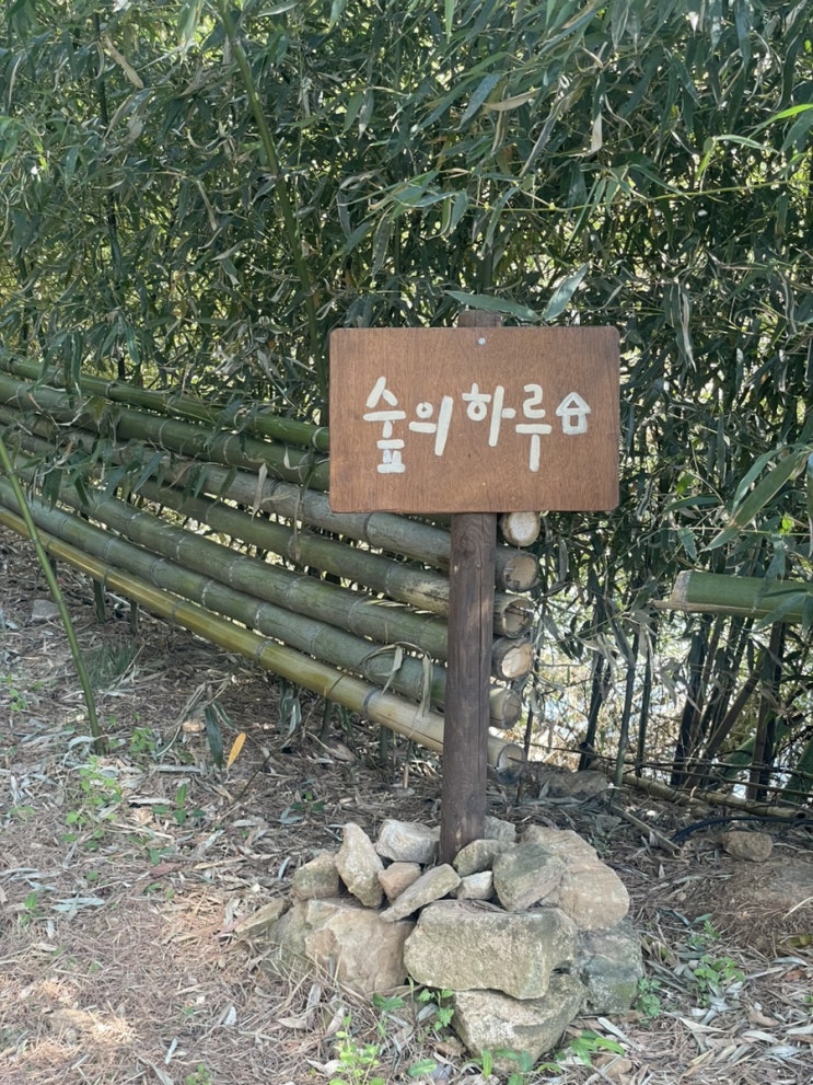  [밀양, 숙소] 숲의 하루