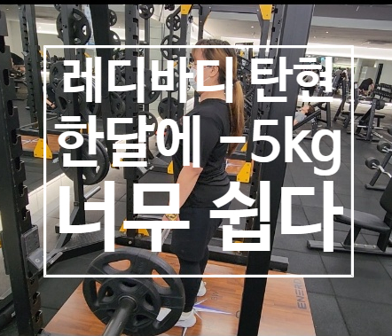 [탄현 헬스장][탄현 헬스][탄현 pt] 한달에 5kg 감량은 기본이죠 (feat. 레디바디 탄현점과 함께라면!!)
