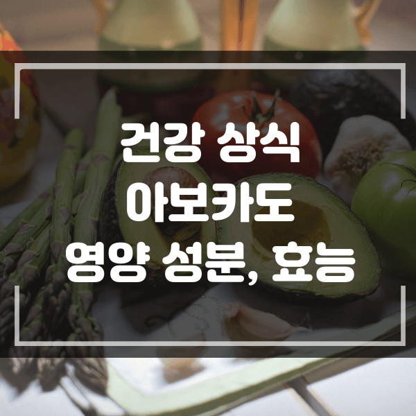 아보카도가 가진 영양과 우리에게 주는 효능