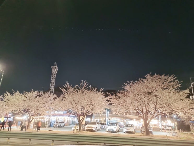  벚꽃지기전 물왕저수지에서 벚꽃구경하고 구도로통닭 먹은 기록