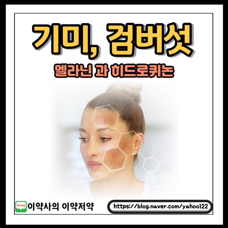  [이약사] 기미, 검버섯의 원인 멜라닌과 히드로퀴논 의약품