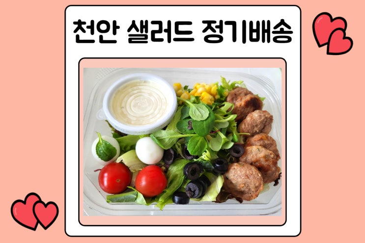 천안 샐러드 정기배송 프레디쉬