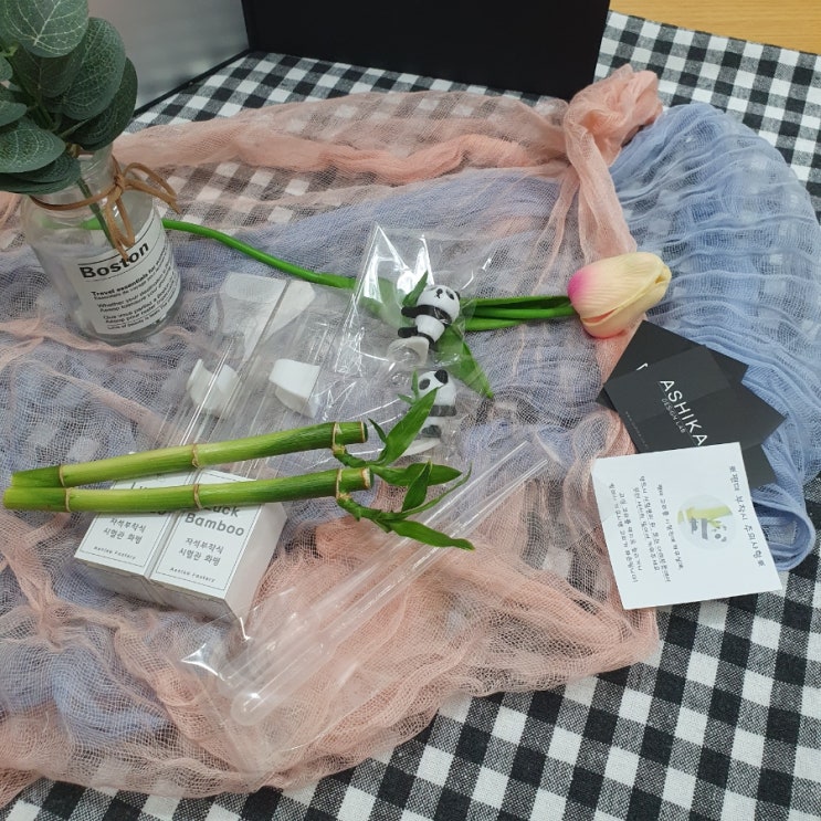 집들이선물로 완벽한 아시카팩토리 팬더 개운죽 화병 집들이선물로 완벽한 아시카팩토리 팬더 개운죽 화병
