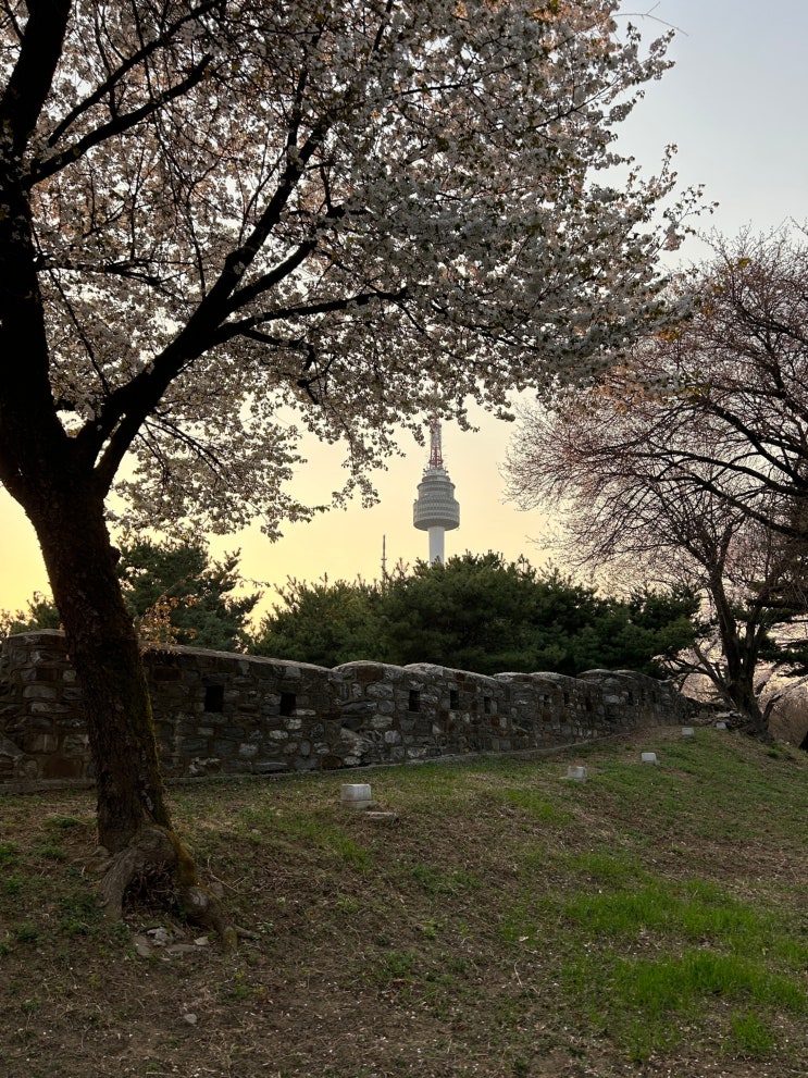  서울 용산 N서울타워