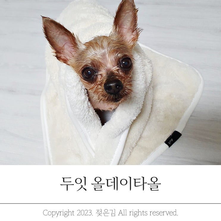 강아지수건 흡수력 좋은 두잇올데이타올 강아지수건 흡수력 좋은 두잇올데이타올