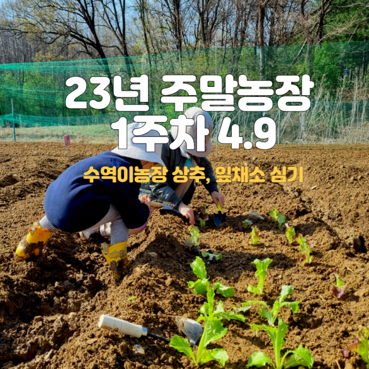 동행서울 친환경농장 2023년 주말농장 1주차 시작(수역이농장)
