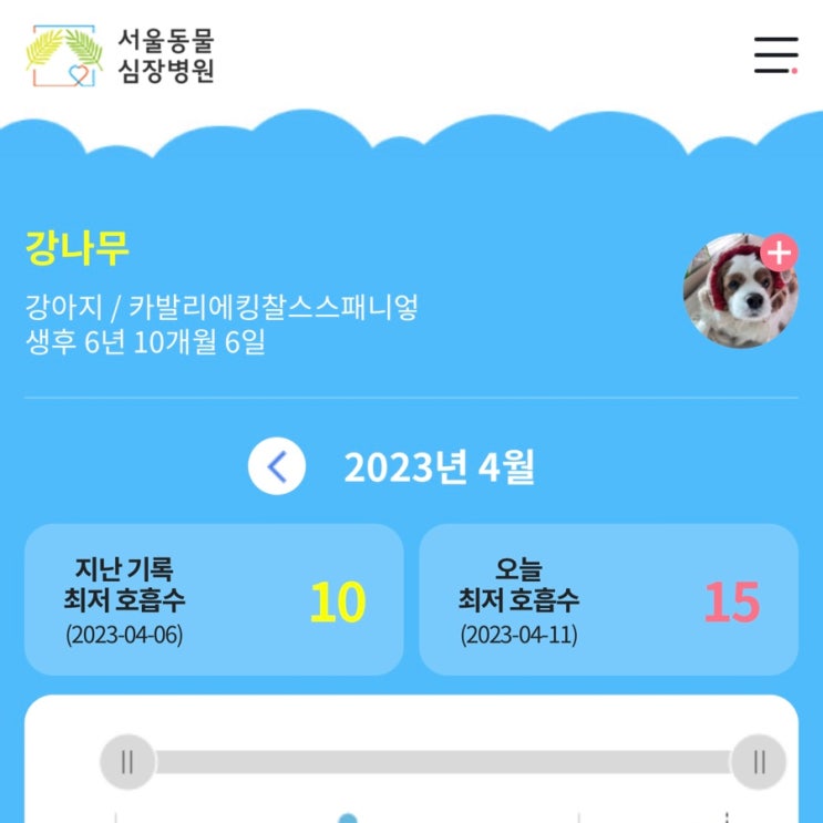  강아지 심장병 수면 호흡수 체크 앱 주의관찰 필수