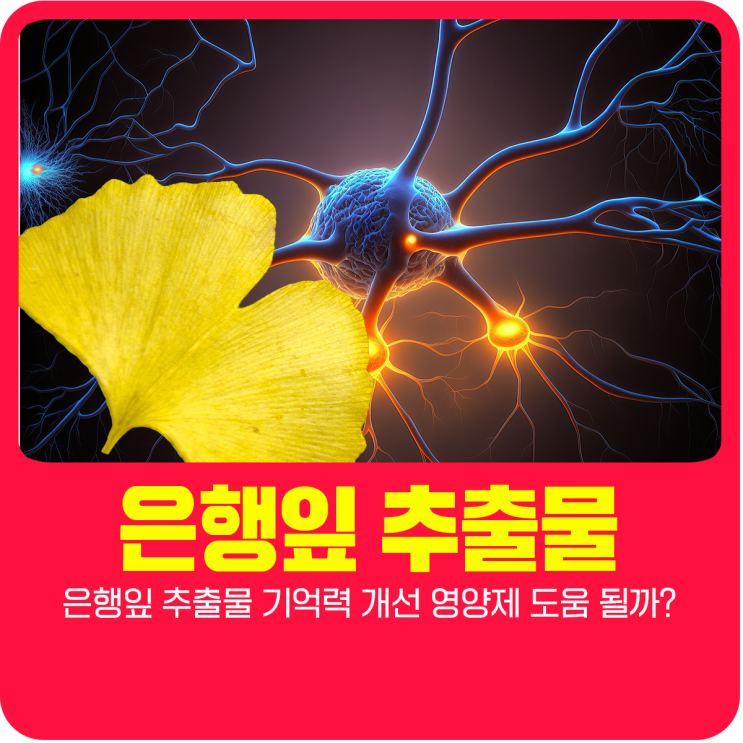  은행잎 추출물 기억력 개선 영양제 도움 될까?