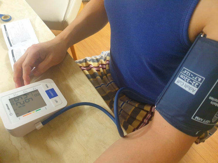 비타그램 자동 전자 혈압계 PG-800B51 (내돈내산 혈압관리 )