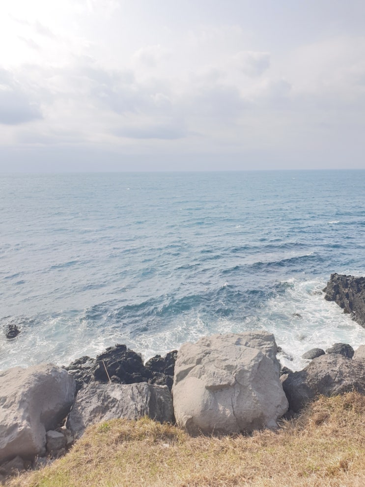  제주도 1일 차