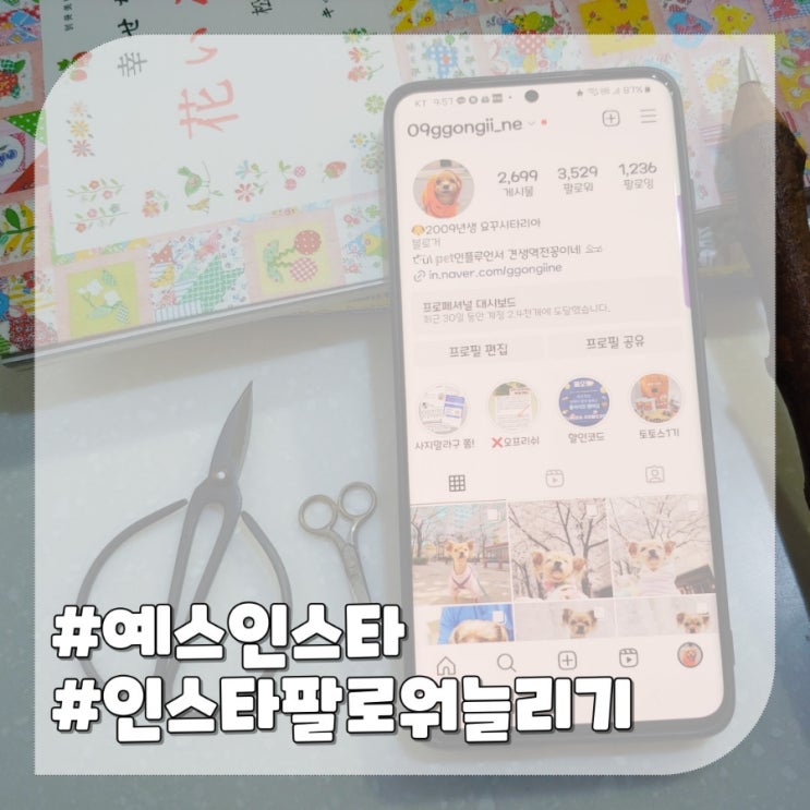  인스타그램 팔로워 늘리기 치트키 예스인스타