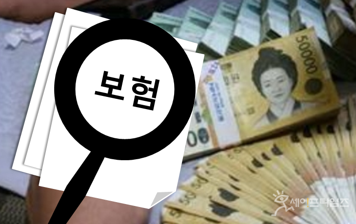 '본인부담상한제' 악용해 복지급여 횡령하는 보험사 '본인부담상한제' 악용해 복지급여 횡령하는 보험사