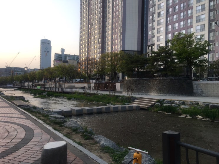  5km 마라톤 대회 준비 2주차 - 1