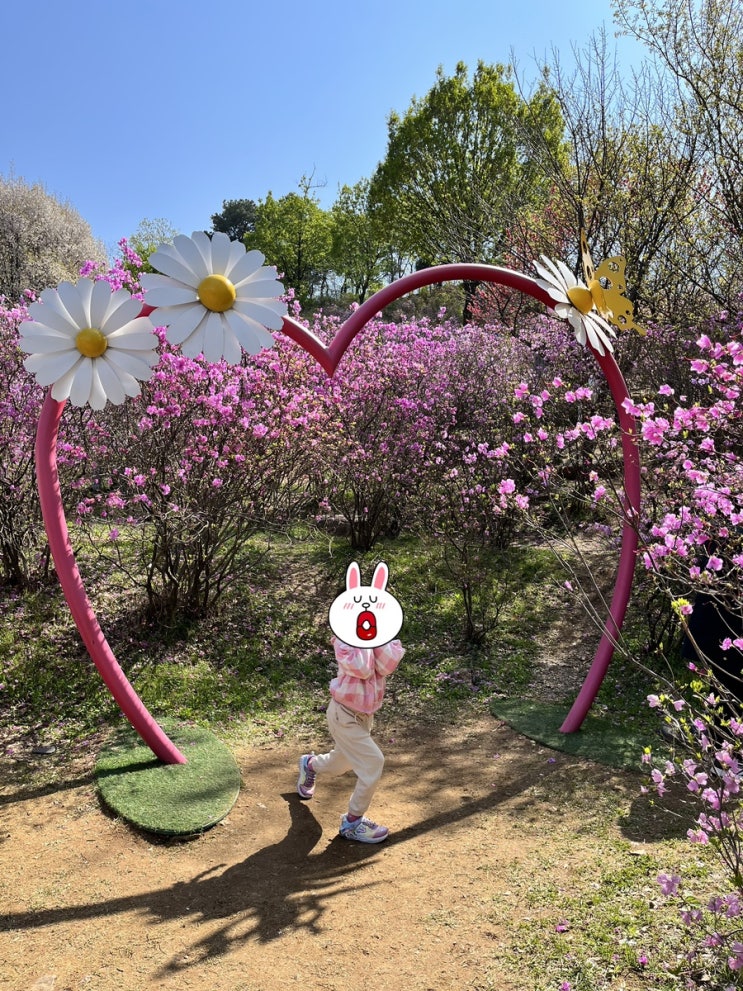 부천 진달래동산, 여의도 벚꽃축제 후기(서울, 경기 꽃구경 명소)