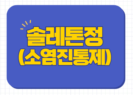  솔레톤정 80mg 효능 부작용 타이레놀 두통