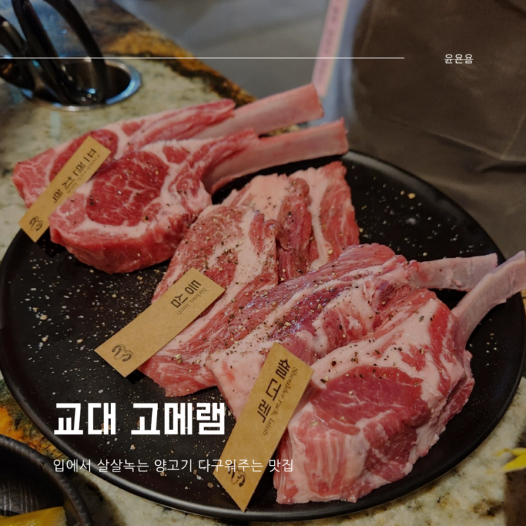  교대 양갈비 고메램 교대점 인생 양갈비 콜키지프리 까지,,