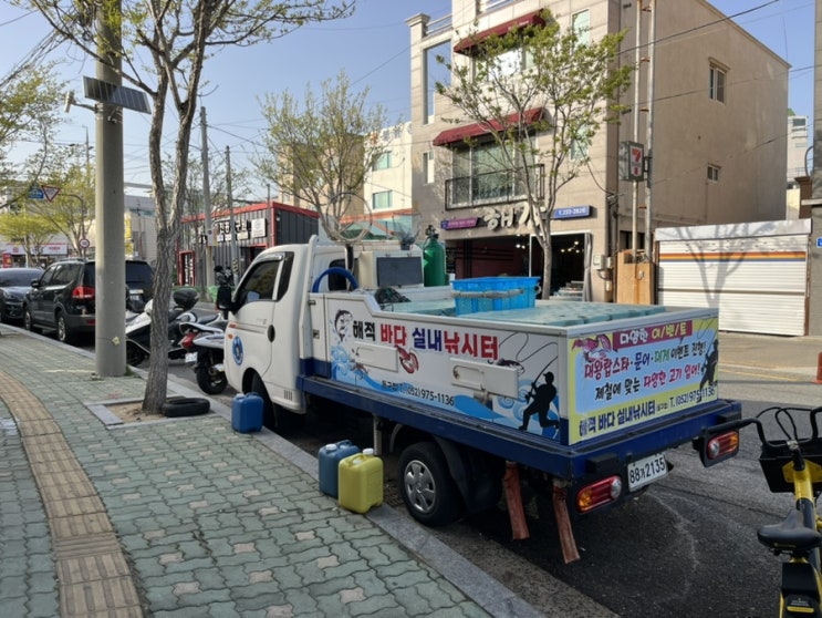  [울산 실내 데이트]울산 실내 낚시_해적 바다실내낚시터
