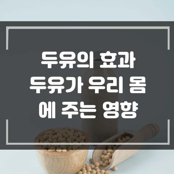  두유의 효과와 우리 몸에 주는 영향