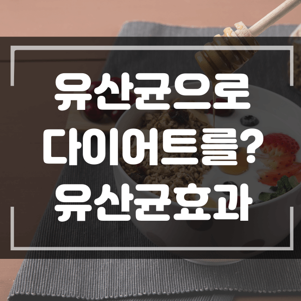  유산균으로 다이어트를? 유산균의 효과를 최대한 이용하는 법