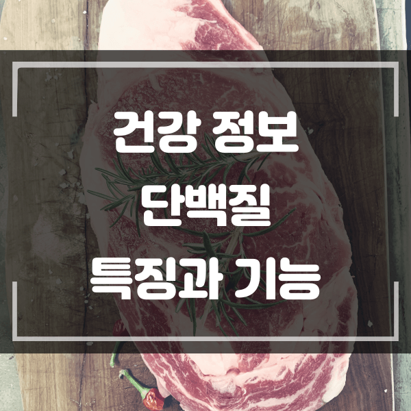  단백질을 많이 포함하고 있는 식품과 단백질의 특징과 기능을 확인해 보세요.