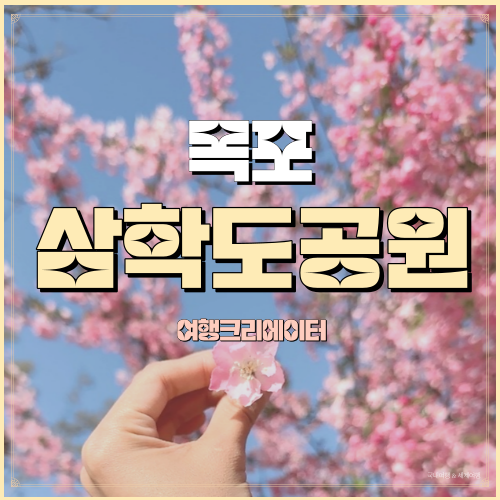 전남 목포 김대중노벨평화상기념관 삼학도공원 꽃구경 유채꽃, 튤립, 겹벚꽃, 싸리꽃, 수선화