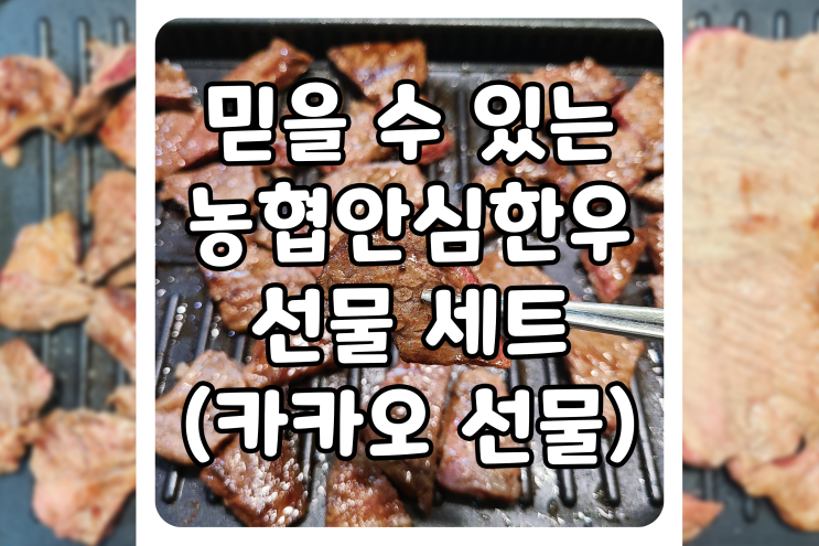  부모님 효도 한우 선물, 농협안심한우 브랜드의 최고급 한우 선물세트가 좋아 보여요