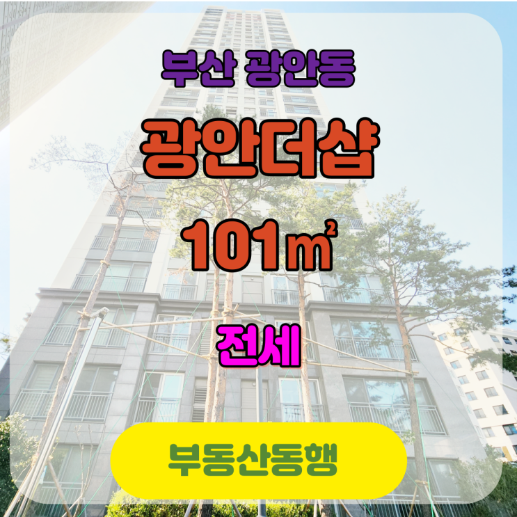  수영구 아파트, 광안동 전세 매물 / 광안더샵, 부산에서 입지좋은 아파트로 소문난 매물!