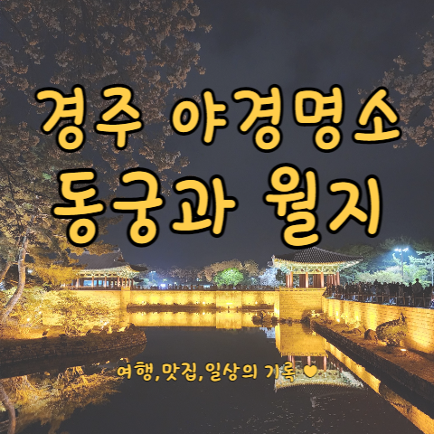  [경주 야경1] 동궁과월지 안압지 입장료, 주차장 (feat. 벚꽃)