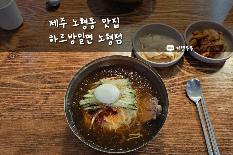  제주시 노형동 | 제주 노형동 맛집 하르방밀면 노형점 보말칼국수 맛나요