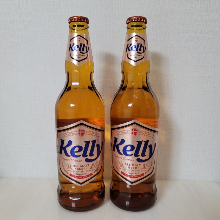  켈리(Kelly) 맥주 / 손석구 맥주 - 내돈내산 솔직후기!
