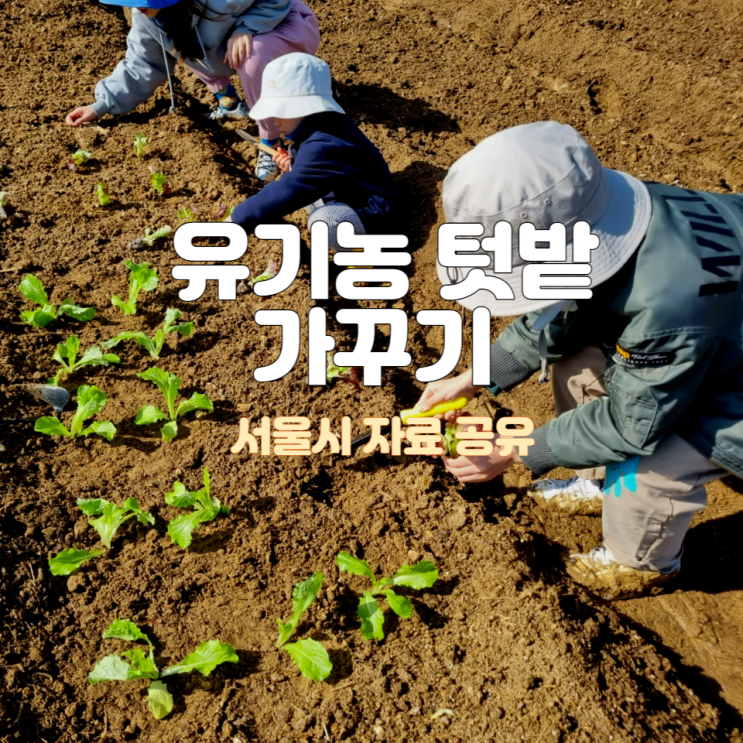  서울시 동행서울 친환경 농장 가꾸기 자료 공유(영상 및 PDF)