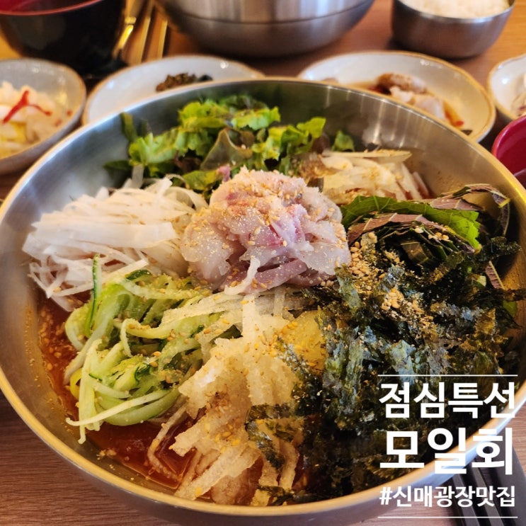  새콤매콤쓰한 물회 점심으로 머겄어요 : 신매광장 모일회