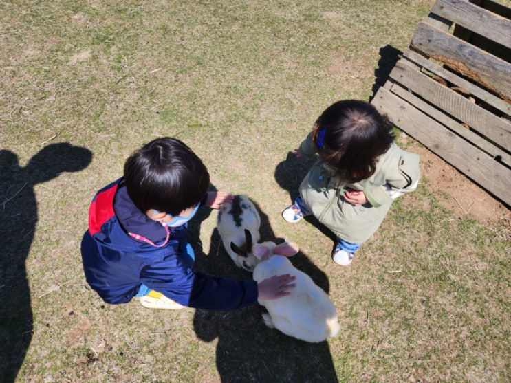  울산 양떼목장 동물과 교감하고 피크닉 가능한곳