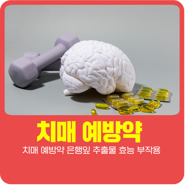  치매 예방약 은행잎 추출물 효능 부작용