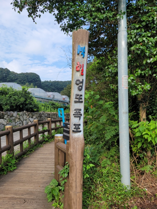  제주도 좋아하는 카페 벙커하우스