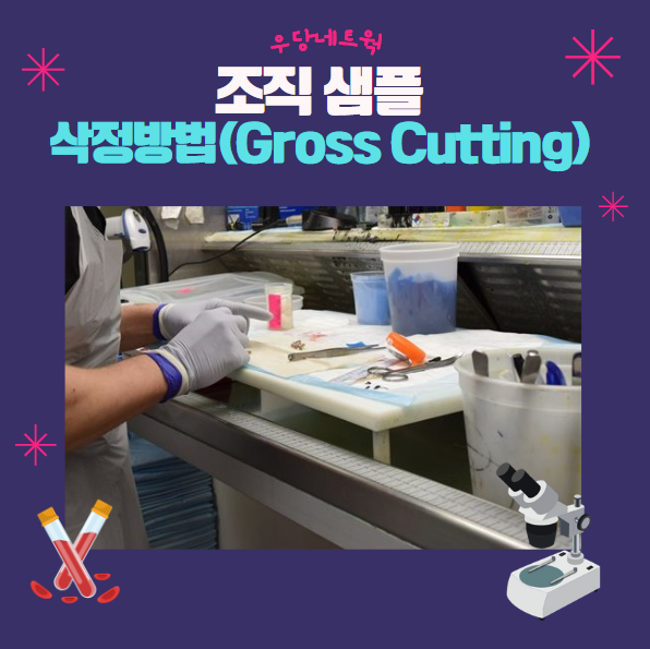  조직 샘플 삭정 방법 (Gross cutting)