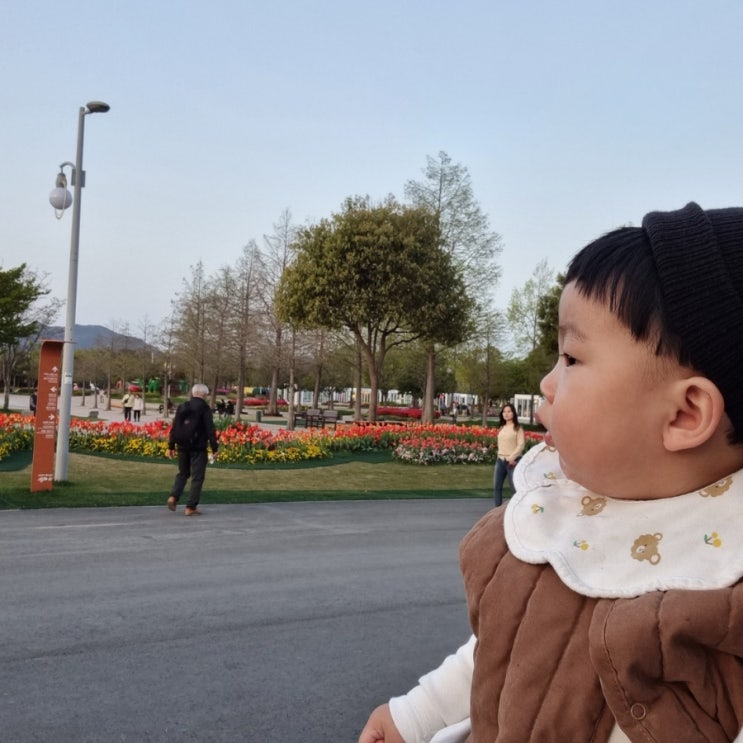  해쥬니와 순천여행_순천만국가정원/순천만국가정원박람회(전주-순천)