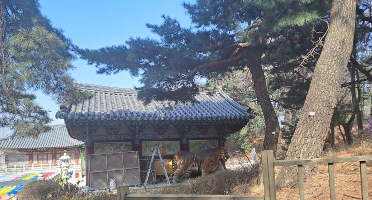  상가권리금