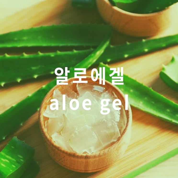 알로에 겔 : 효능 효과, 종류, aloe gel 성분