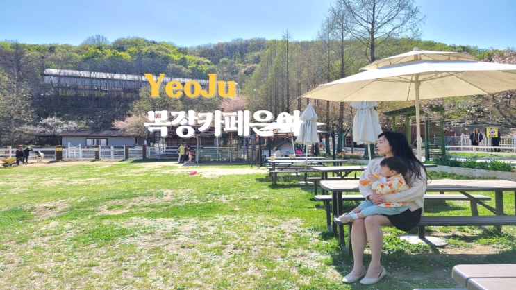  여주 대형카페 아기랑 가기 좋은 목장카페은아
