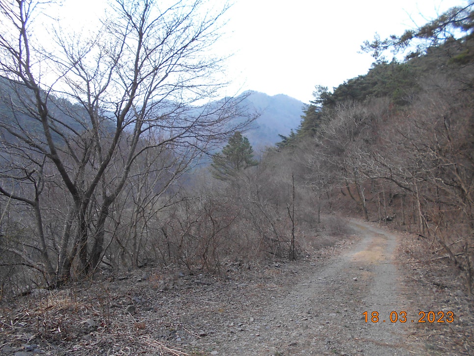 서당제 사진 6