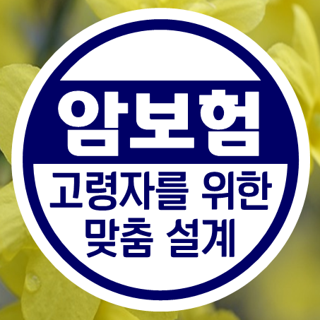  60세 암보험 추천 및 부모님을 위한 70세 암보험 가격 비교 온라인에서 간편하게!
