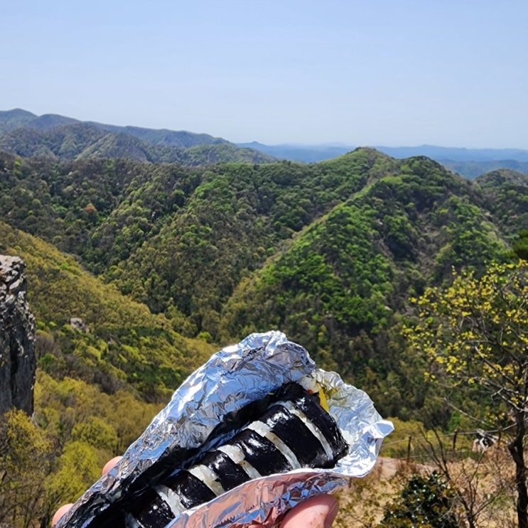 무등산 새인봉 힐링 등산코스 추천&광주학동김밥&무등산벌크커피 후기