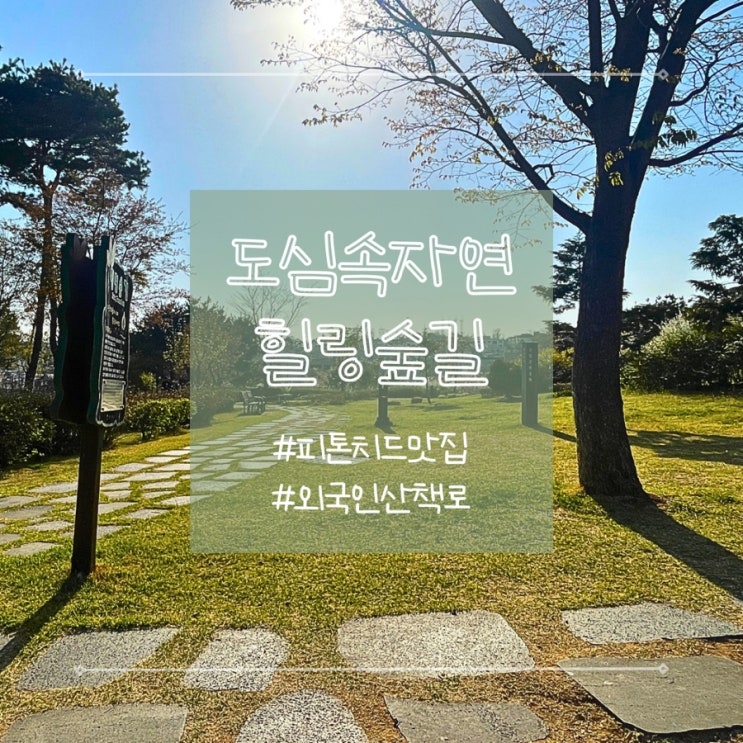  경기도 송탄 신장 근린공원 숲길 산책로 어린이 놀이터 봄나들이 추천