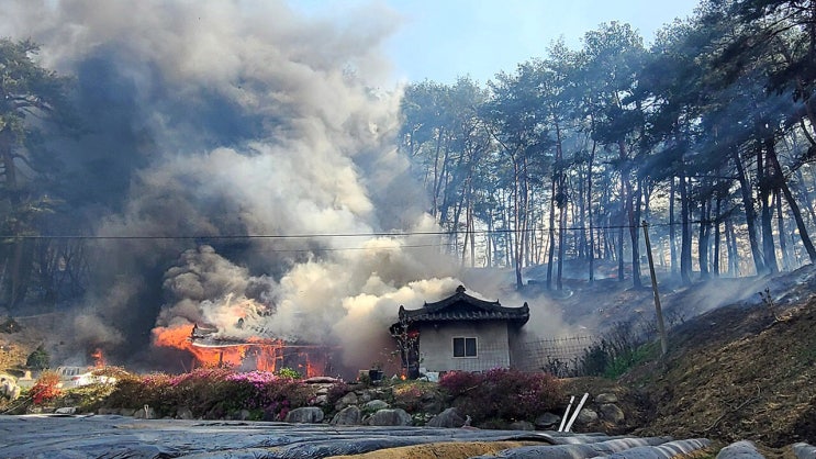 주불 <b>진화</b>! <b>강릉산불</b> 3등급 100여채 민가 소실! 양간지풍 주의!... 