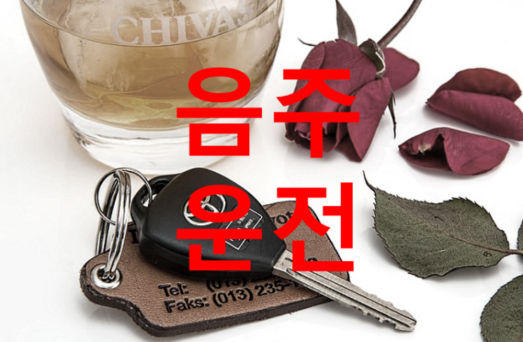  [성공 사례] 음주운전 불구속, 벌금, 집행유예